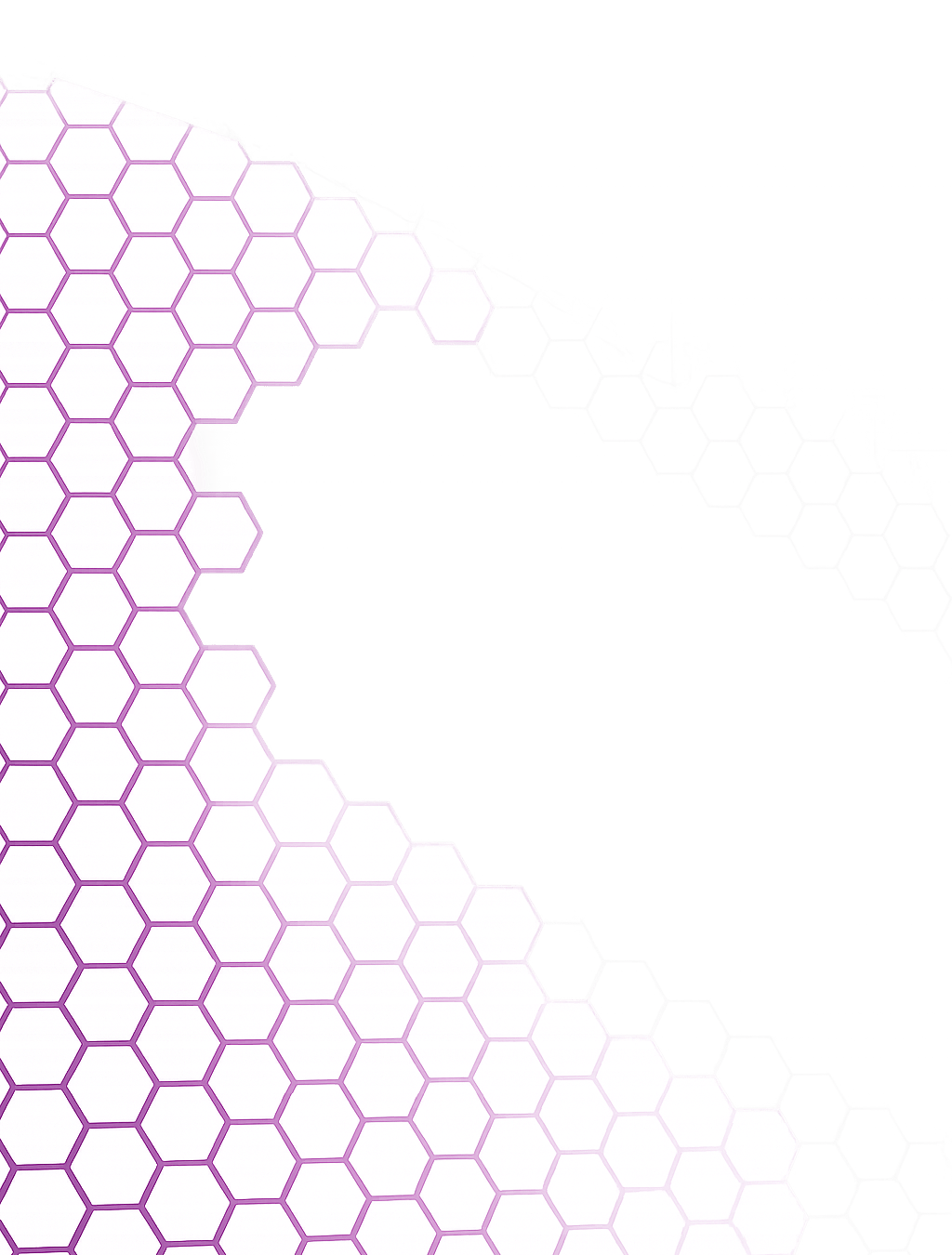 Z-v4-Schelato Start Z-v4-Schelato Start